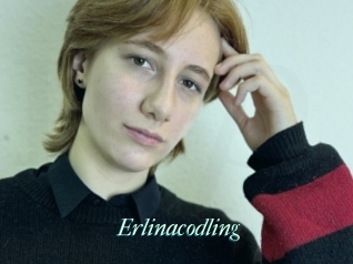 Erlinacodling