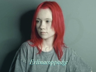 Erlinacoppedge