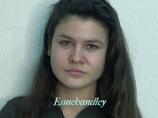 Esmehandley
