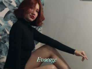Evacage