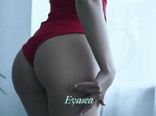Evasea
