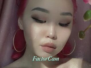 FactorCam