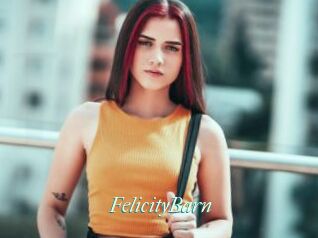 FelicityBarn