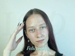 Felicebeldin