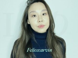 Felicecarvin