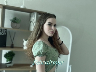 Felicedrover