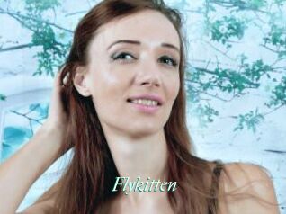 Flykitten