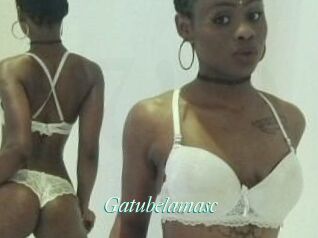 Gatubela_masc
