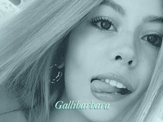Gallibarbara