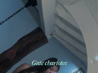 Gate_charlotee