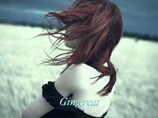 Gingercat