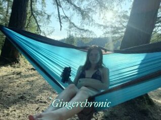 Gingerchronic