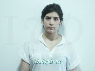 HalleyBriss