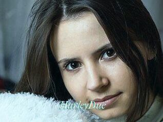 Harley_Due