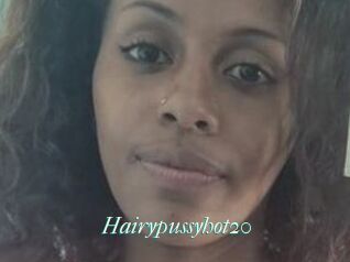 Hairypussyhot20