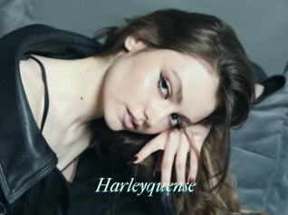 Harleyquense