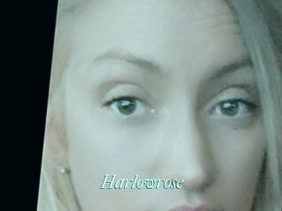 Harlowrose