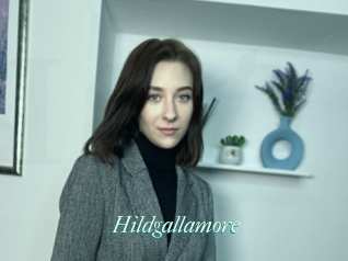 Hildgallamore