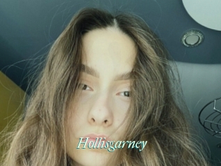 Hollisgarney