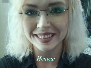 Houscat