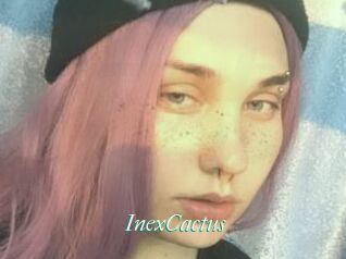 InexCactus