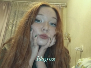 Idagroos