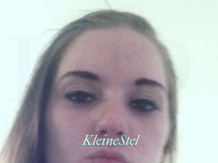 KleineStel