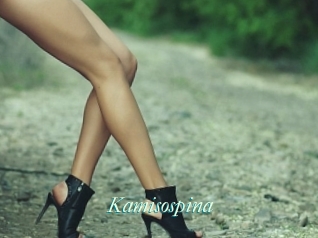 Kamisospina