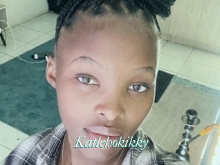 Katlehokikky