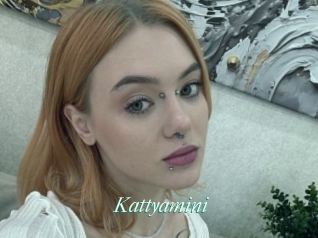Kattyamini