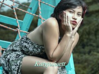 Katypuissett
