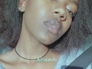Kesandu