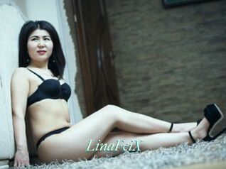 LinaFeiX