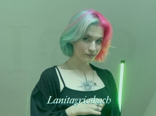Lanitagriesbach