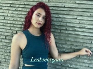 Leahmorgaan