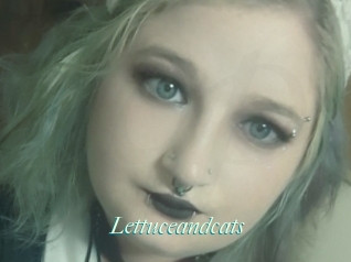 Lettuceandcats