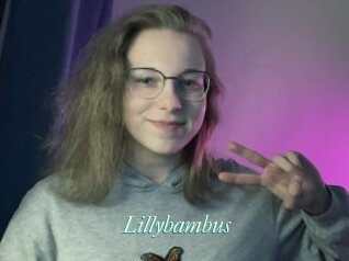 Lillybambus