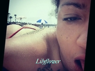 Lilyflower