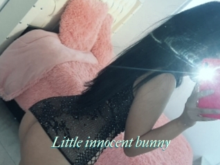 Little_innocent_bunny