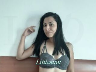 Littlemini