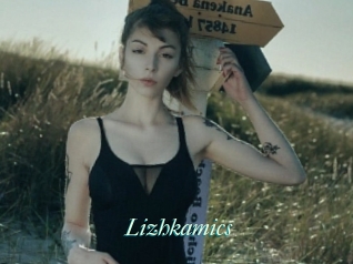 Lizhkamics