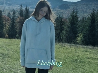 Lladybugg