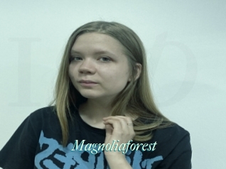 Magnoliaforest