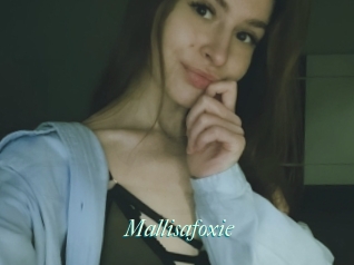Mallisafoxie