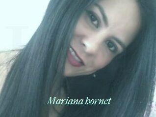 Mariana_hornet