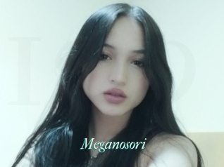 Meganosori