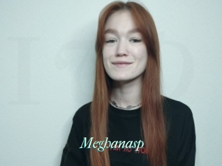 Meghanasp