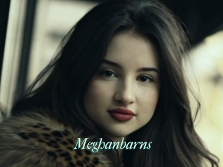Meghanbarns