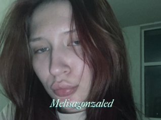 Melisagonzaled