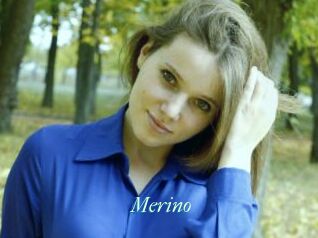 Merino
